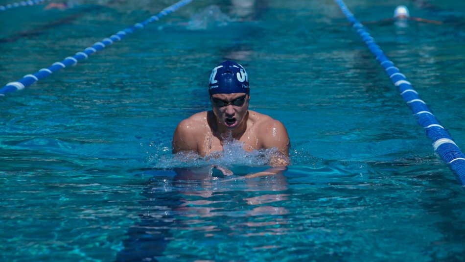 Stage natation